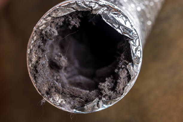 Best HVAC Air Duct Cleaning  in New Rockford, ND