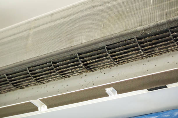 Best Affordable Duct Cleaning Services  in New Rockford, ND